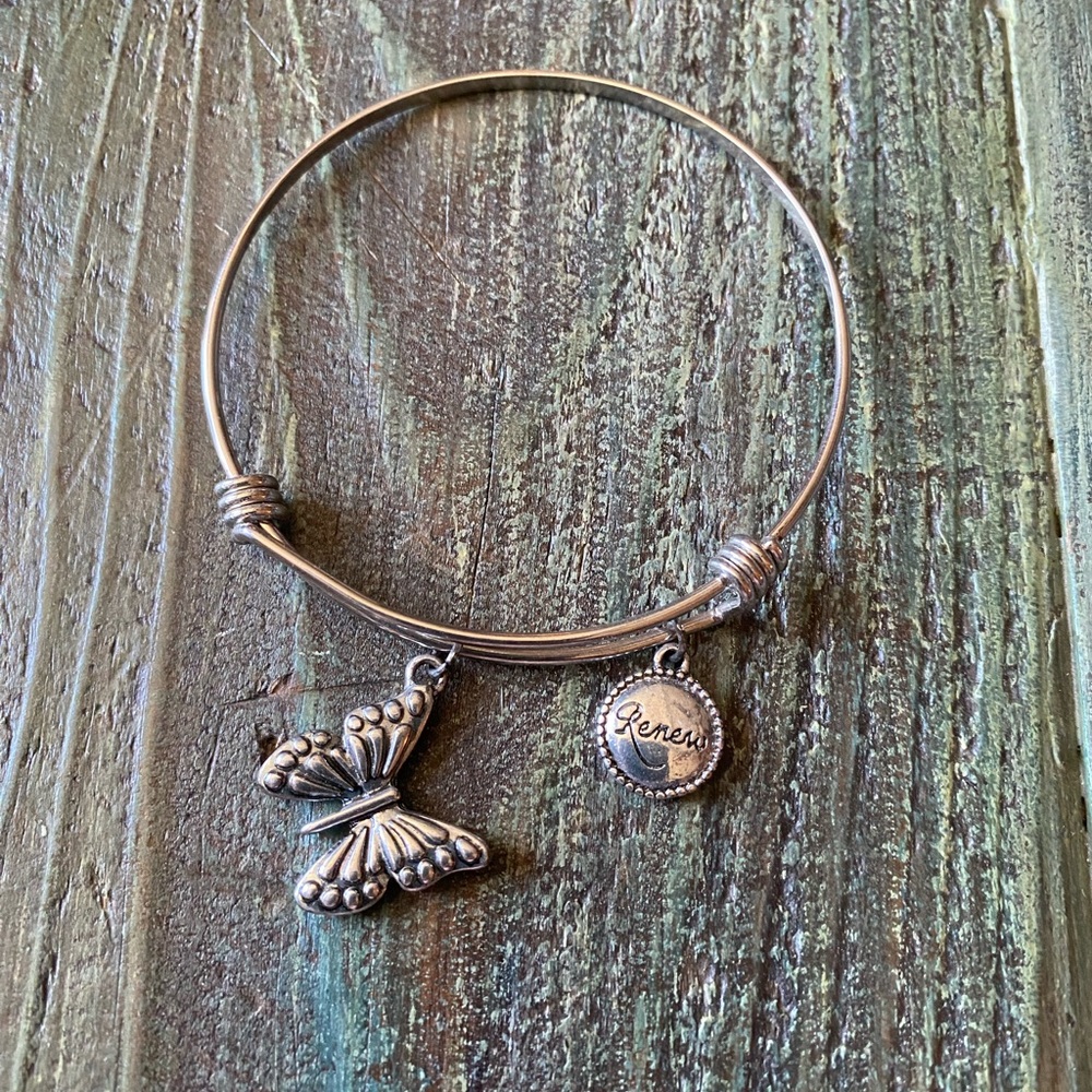 Stainless steel expandable bracelet butterfly Renew charm